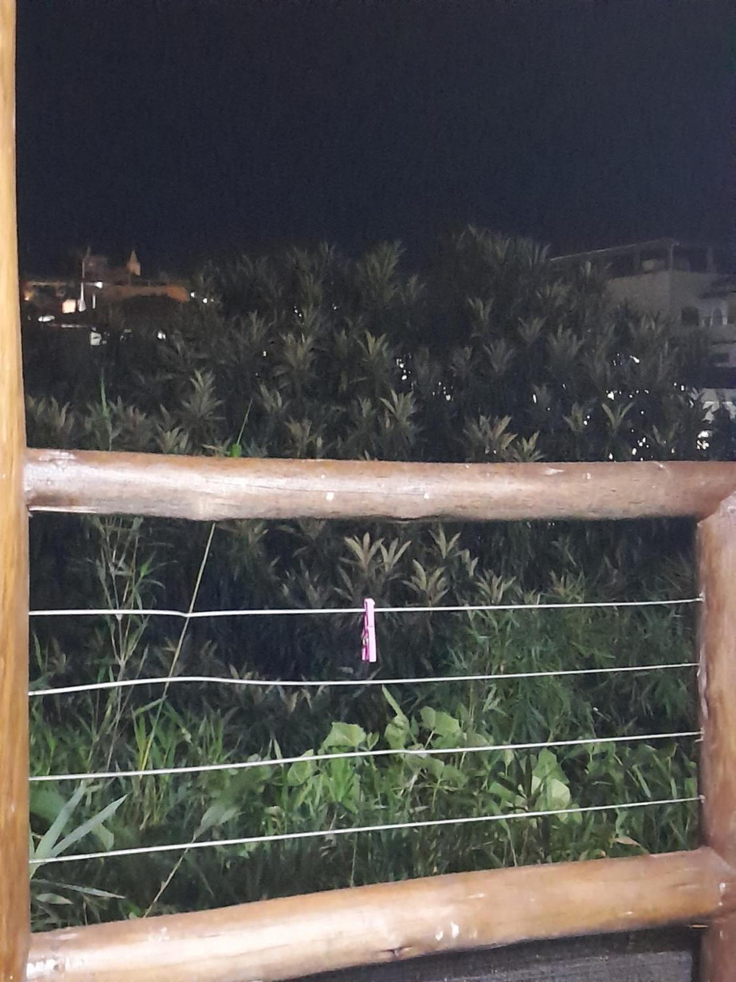 Apartament Chale Bambu3 Cunha Zewnętrze zdjęcie